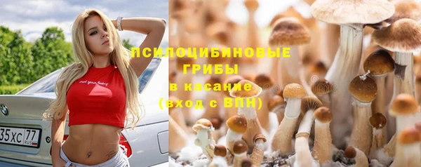 мескалин Алзамай