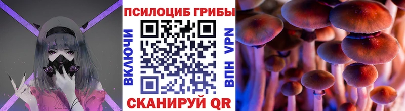 Псилоцибиновые грибы Magic Shrooms  Канаш 