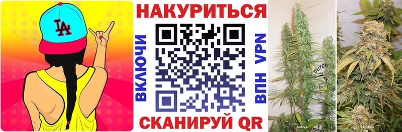 кракен зеркало где найти Канаш Конопля семена
